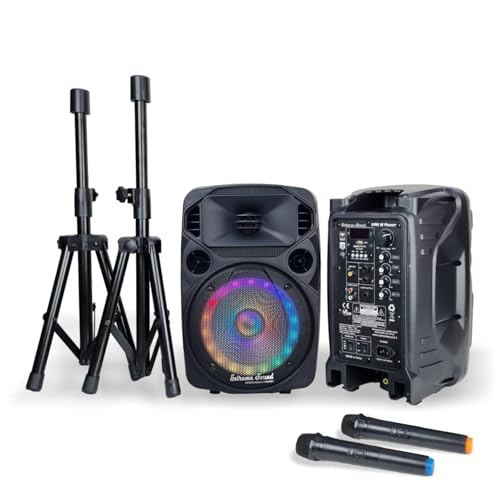 VAN M Power Casse Attiva + Passiva con Microfoni Wireless Bluetooth