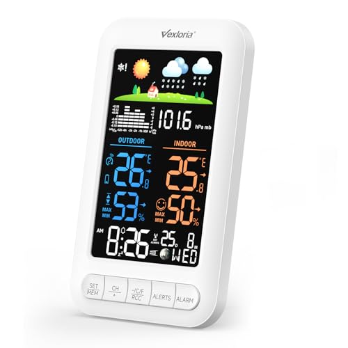 Termometro Igrometro Wireless con Sonda