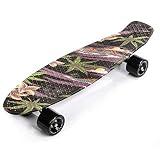 Meteor Skateboard Mini Cruiser Retro