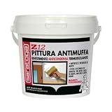 Pittura Antimuffa 750Ml Saratoga