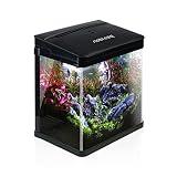 Nobleza – nano acquario