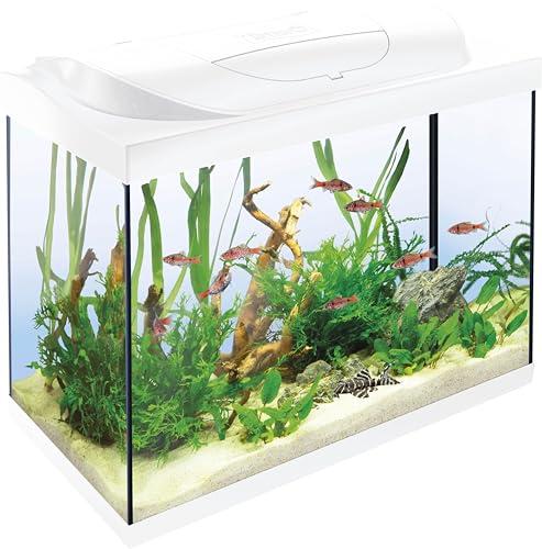 Acquario Tetra Starter Line LED da 80 l bianco