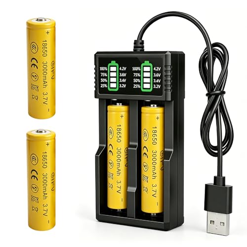 HOVCEH Batteria 18650 3000mAh