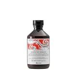 Davines, shampoo Naturaltech Energizing