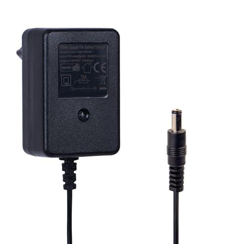 12V caricabatterie per auto elettriche per bambini