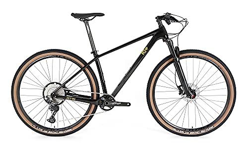 ICE MT10 Mountain Bike Telaio in Fibra di Carbonio, Ruota 29″, Monopiatto, 12 V, Colore: Nero (19″ L)