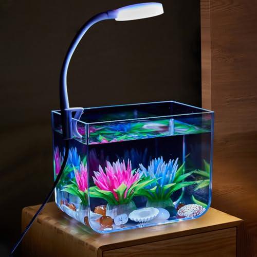 Niwugady Serbatoio per Acquario con Luce a Morsetto