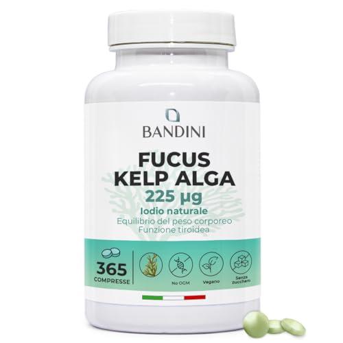 Bandini Fucus Kelp Algae (Iodio Naturale 225mcg)