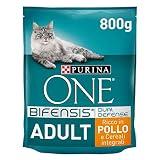 Purina One Adult