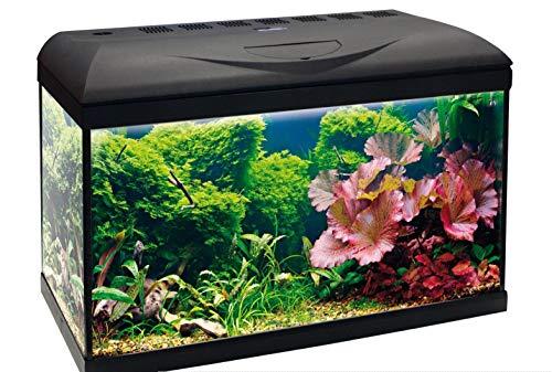 Amtra Basic 60 LED, Acquario completo di 55 litri, illuminazione LED 8500 8W