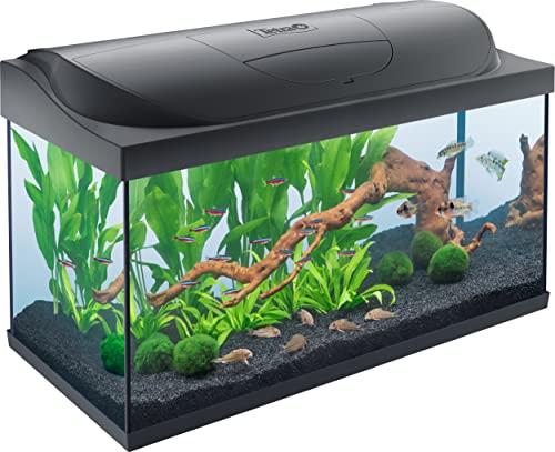 Tetra Starter Line LED 105 l Acquario per principianti, illuminazione LED con modalità luce diurna/notturna