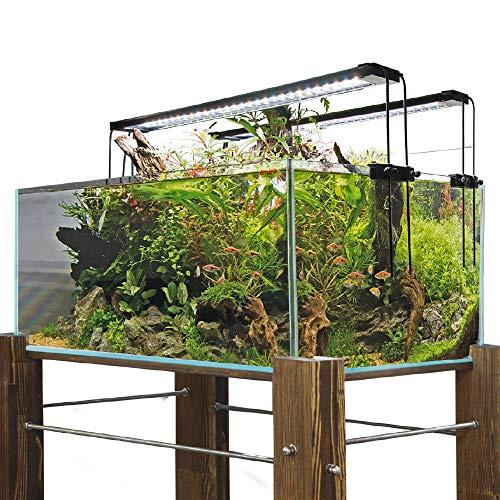 Amtra Shallow – Vasca in vetro extrachiaro, tappetino ammortizzante incluso, 75x50x30 cm / 110 litri