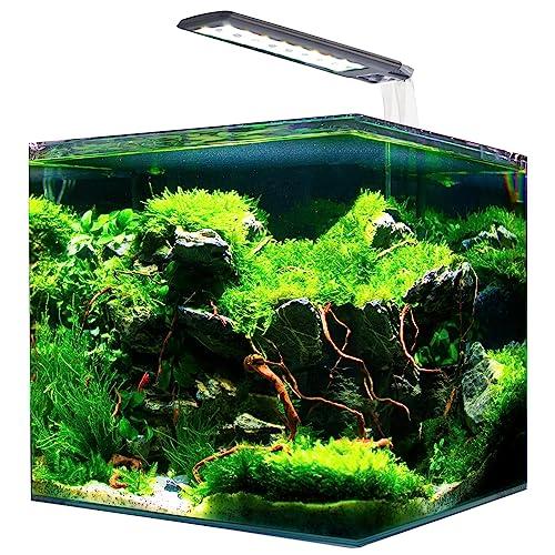 AMTRA NANOTANK SYSTEM 60 – Acquario in vetro completo di luce LED e filtro