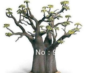 Miglior bonsai baobab del 2022